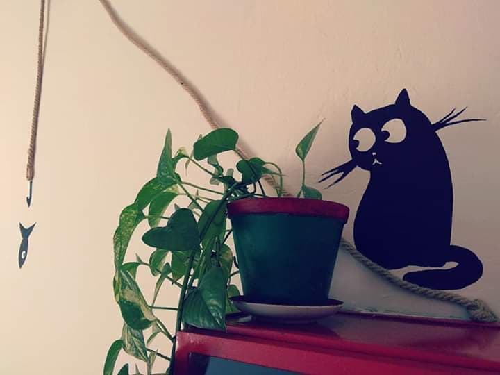 cat